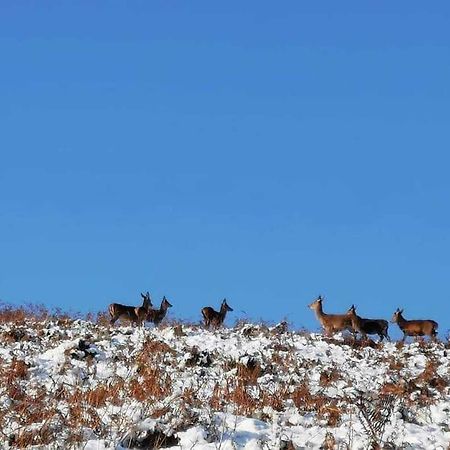 Astella Lodge. West Quantoxhead Bagian luar foto