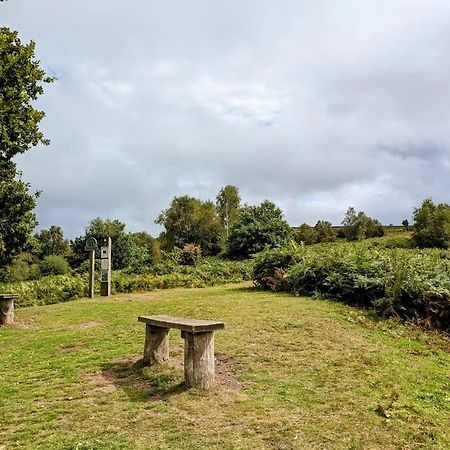 Astella Lodge. West Quantoxhead Bagian luar foto